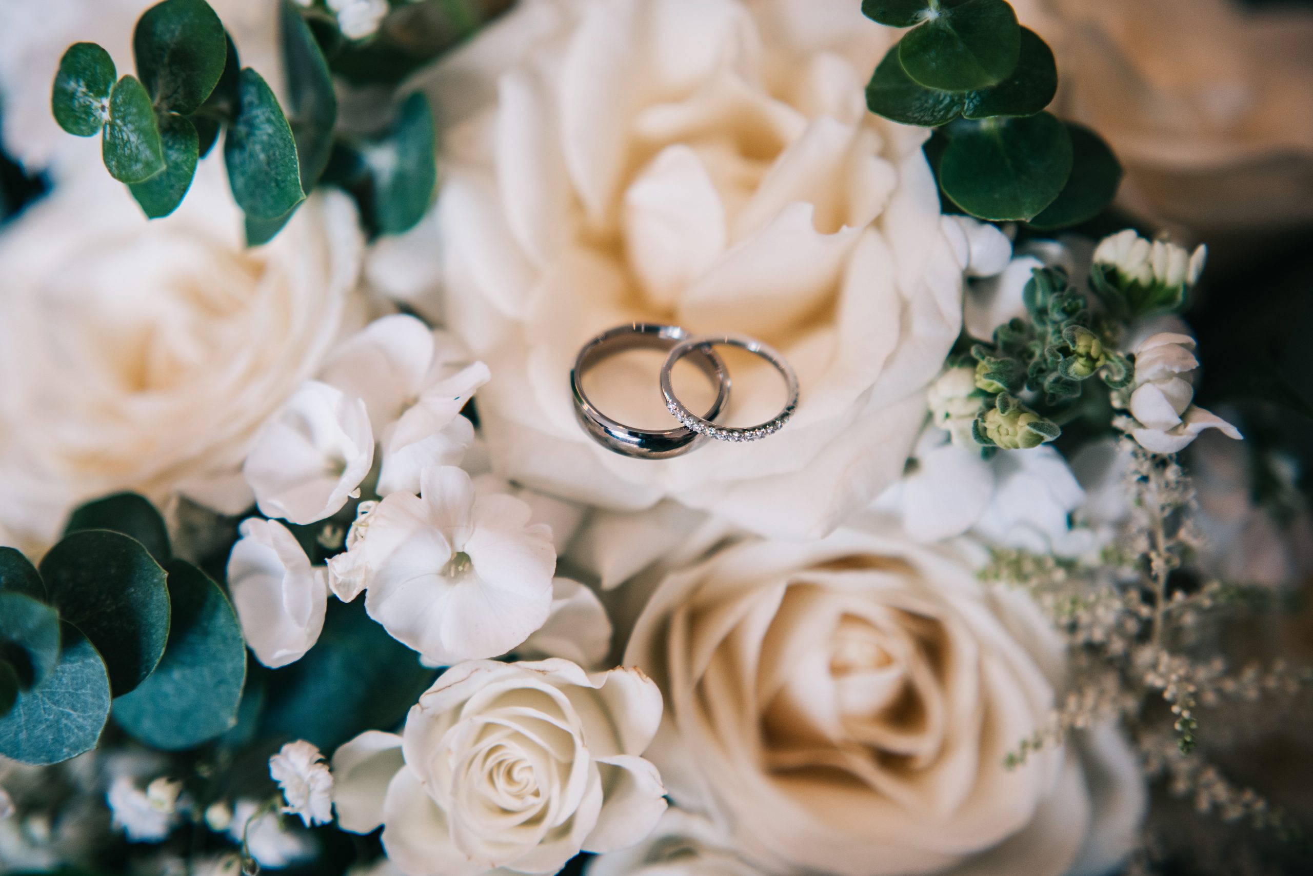 Rings resting together on roses